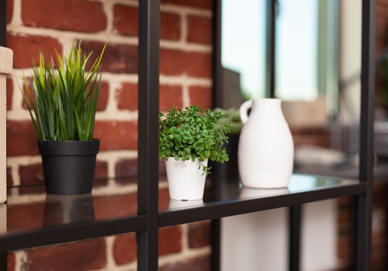 Tendências de Decoração 2025/2026: Traga a Natureza para Sua Estante