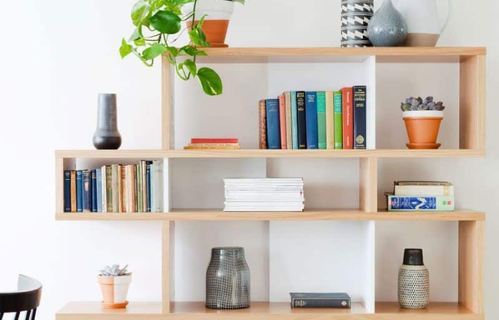 Plantas Pendentes: As Melhores Espécies para Decorar Suas Prateleiras Altas