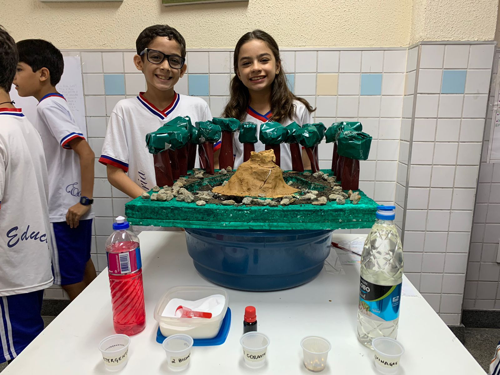 projetos de biologia para feira de ciências