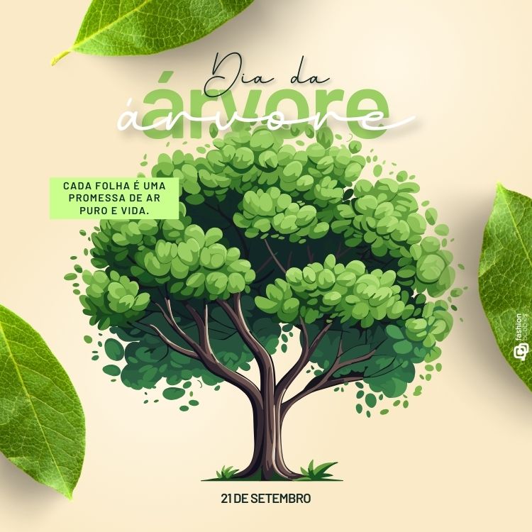 festa da arvore letra