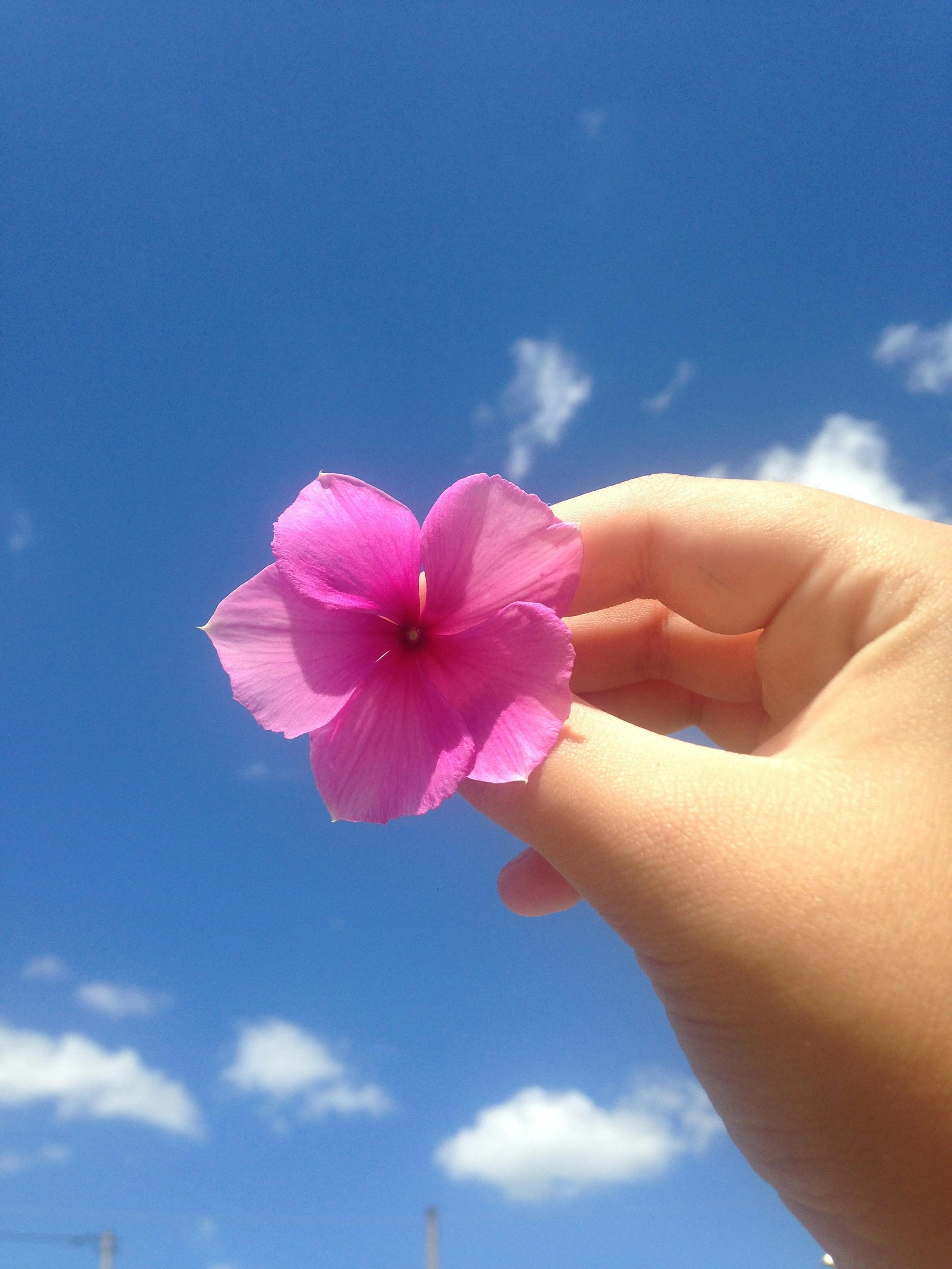 Guia Completo de Tatuagens Fineline de Flores na Mão
