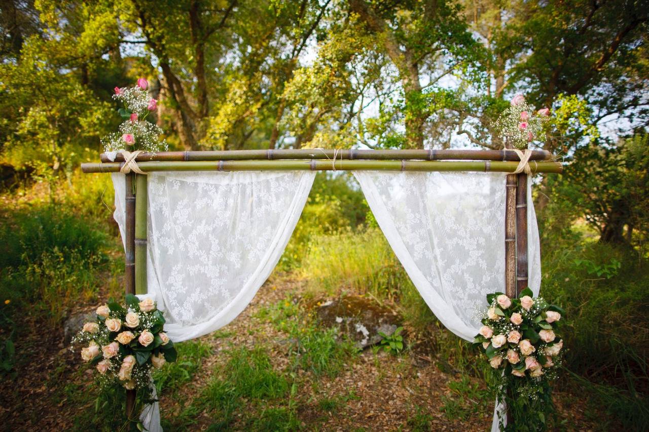 Guia Completo: Flores da Estação para Casamentos em Cada Mês do Ano