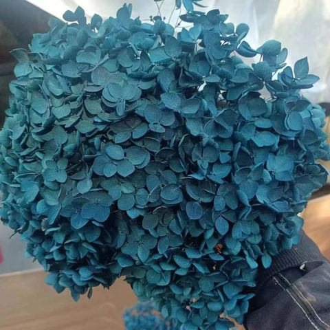 Gipsofila no Casamento: Como Usar o Mosquitinho para uma Decoração Charmosa e Barata