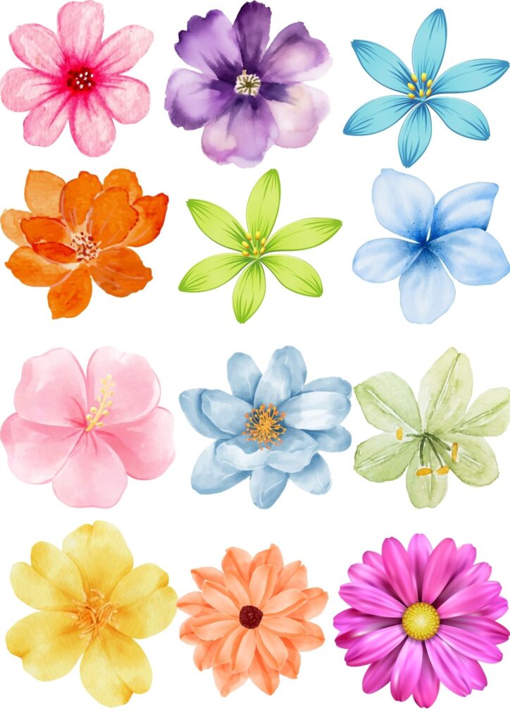 flores para imprimir e colorir
