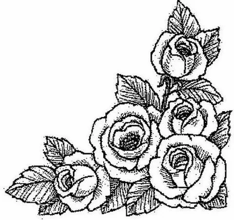 moldes de flores para pintar em pano de prato