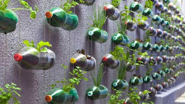 horta suspensa de garrafa pet