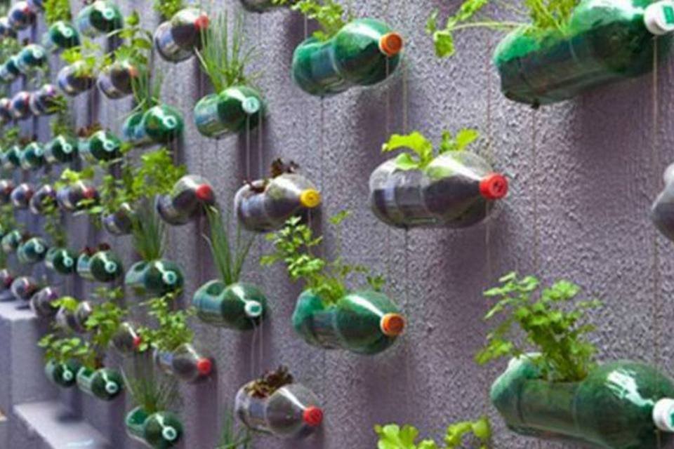 principais erros horta garrafa pet