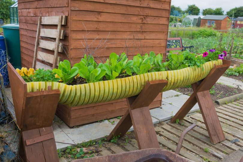 jardim feito com reciclagem