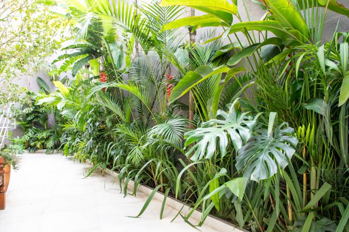 jardim vintage tumblr