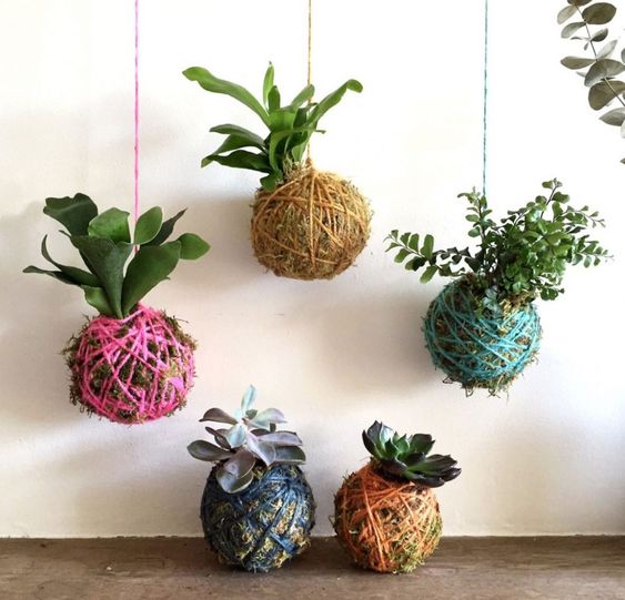 kokedama como fazer