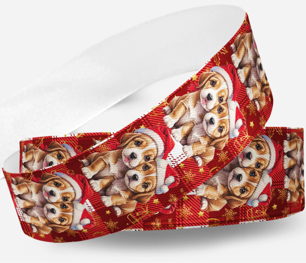 Dicas de Fotos Temáticas de Natal com Pets e Seus Laços