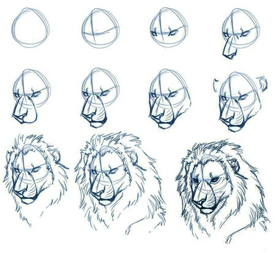 custo de material para colorir leao