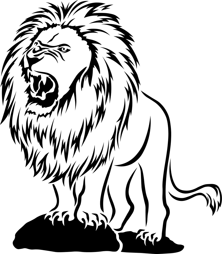 desenho de leao vs tigre para colorir