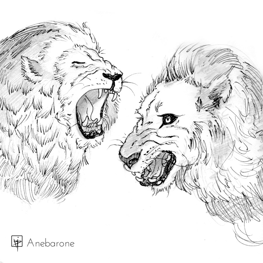 custo de material para colorir leao
