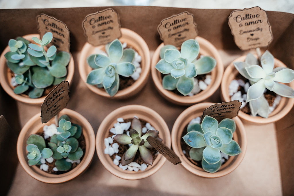 Lembrancinhas Úteis: Ideias Criativas para Casamentos ao Ar Livre e na Praia
