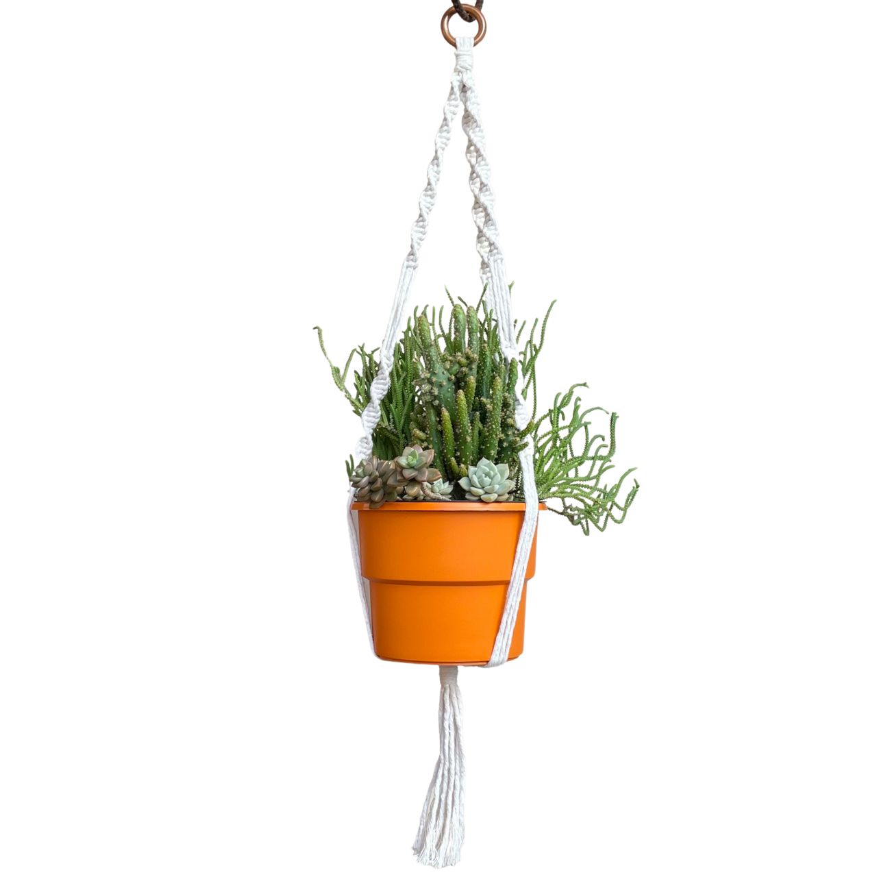 Nós Essenciais do Macramê: Domine as Técnicas para Criar Peças Incríveis