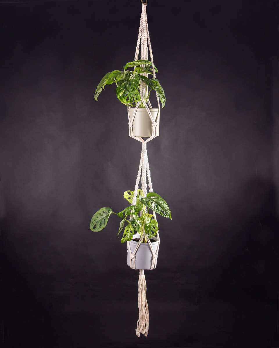 DIY Macramê para Iniciantes: Passo a Passo para Seu Primeiro Plant Hanger
