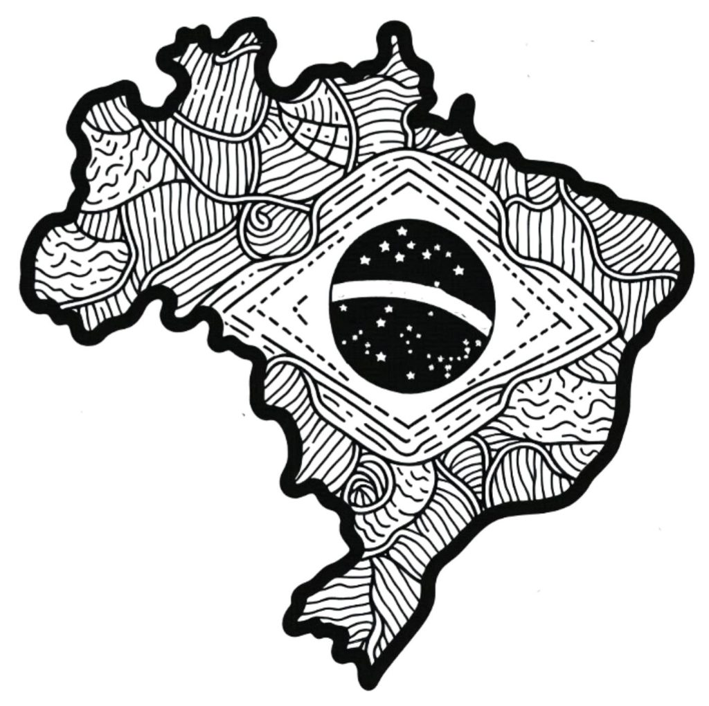 mapa do brasil em branco para preencher