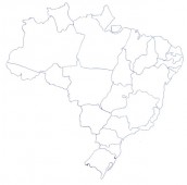 mapa do brasil para colorir com biomas