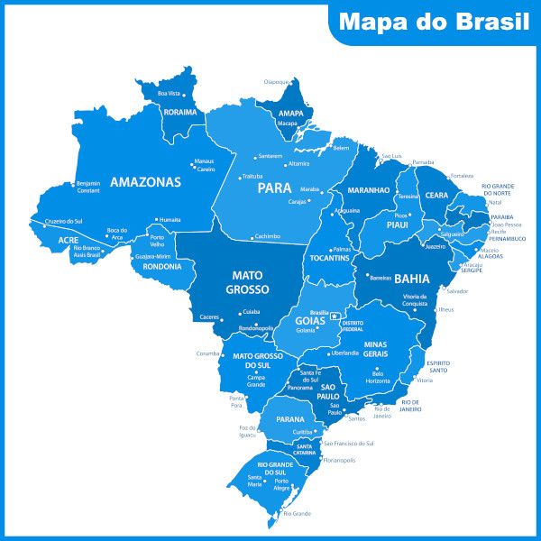 mapa do brasil para colorir estados e capitais