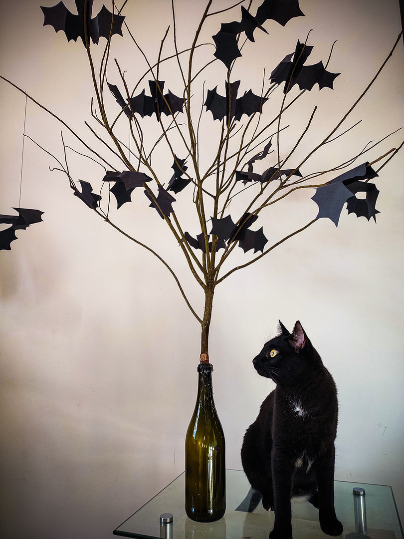 halloween com rolo de papel higiênico