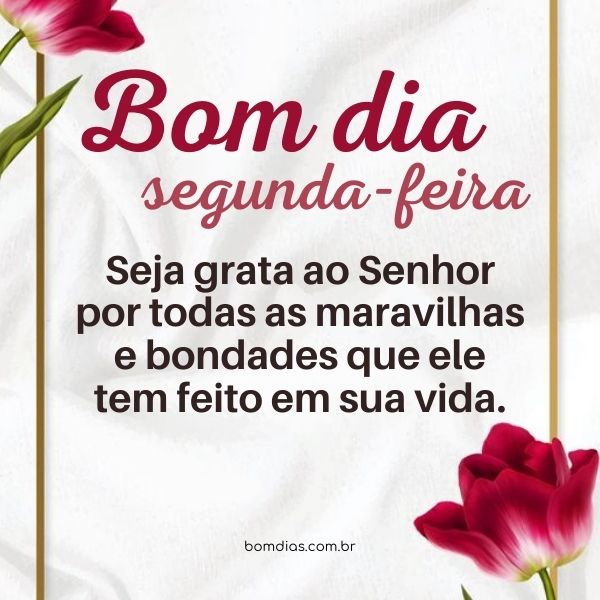 frases de reflexão segunda-feira