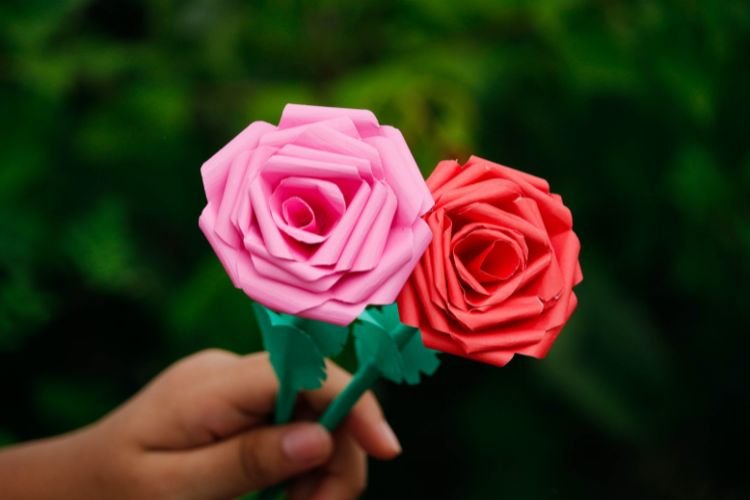 principais erros ao modelar rosas de eva e como evitar