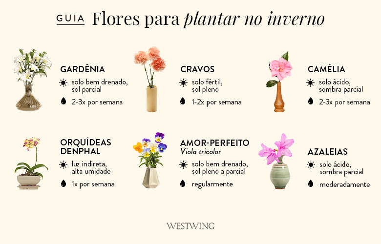 modelos de flores