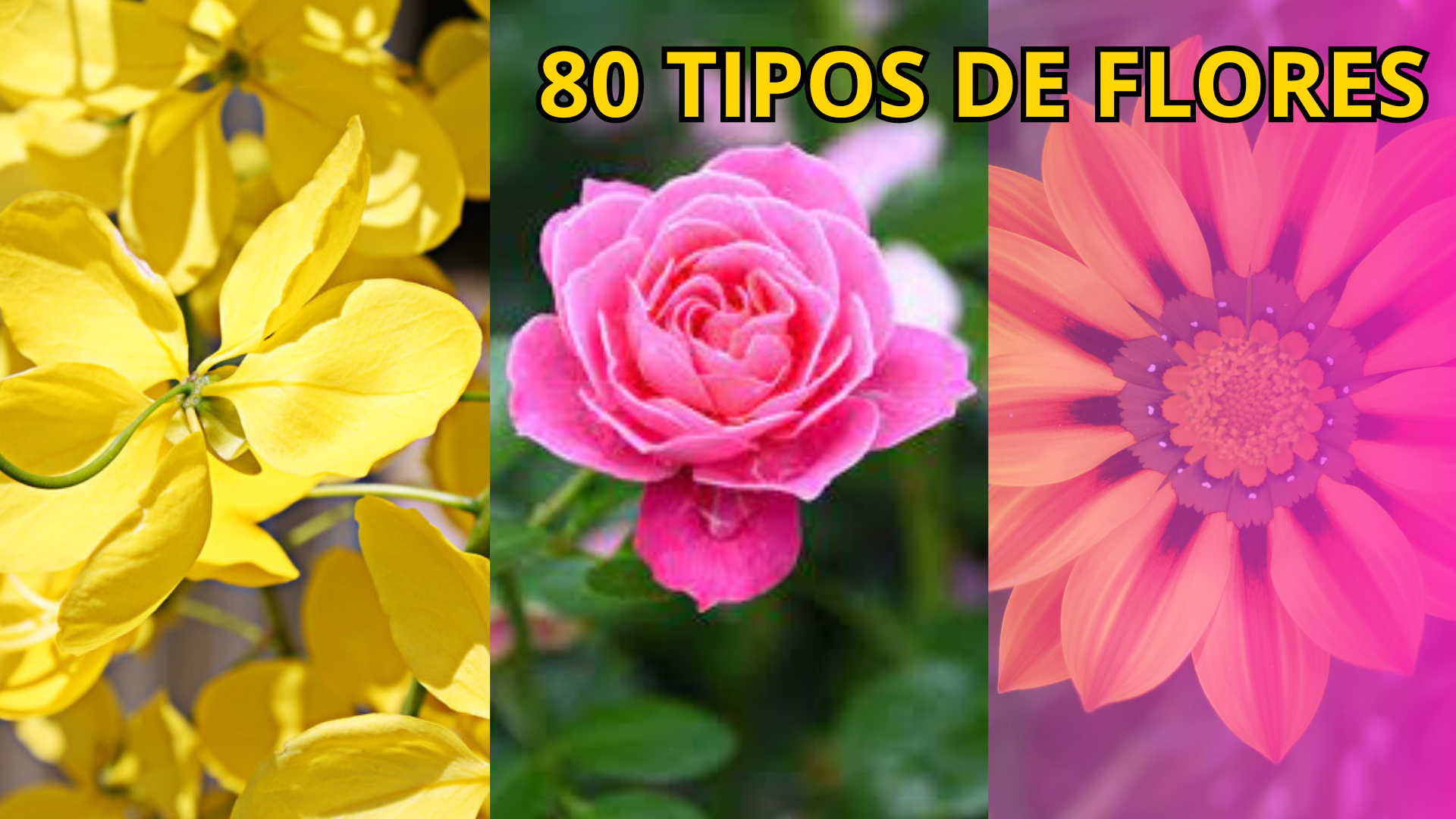 melhores modelos de flores para iniciantes em artesanato