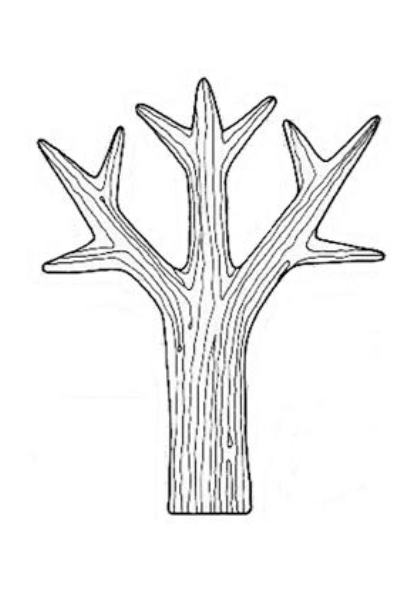 molde arvore para imprimir