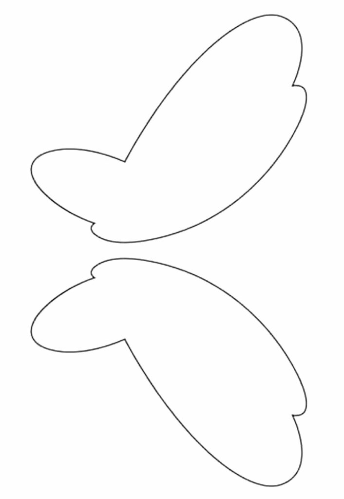 molde asa de borboleta