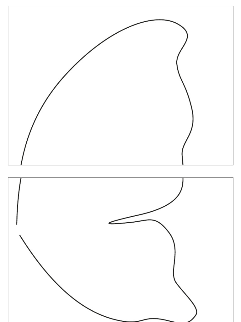 molde asa de borboleta