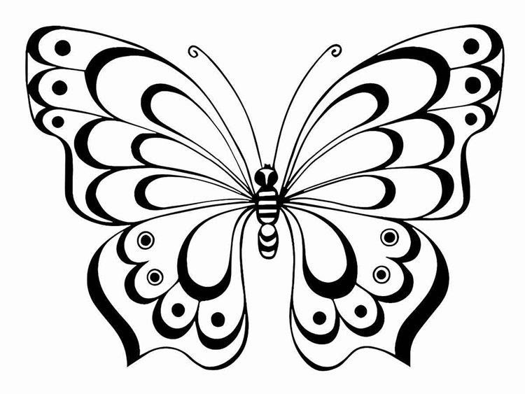 desenho de borboleta para colorir