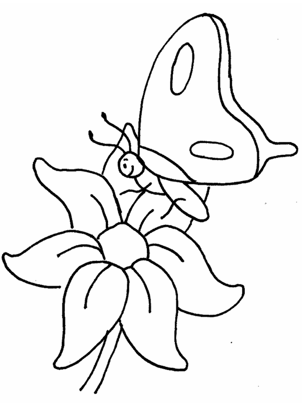 desenho de borboleta para colorir