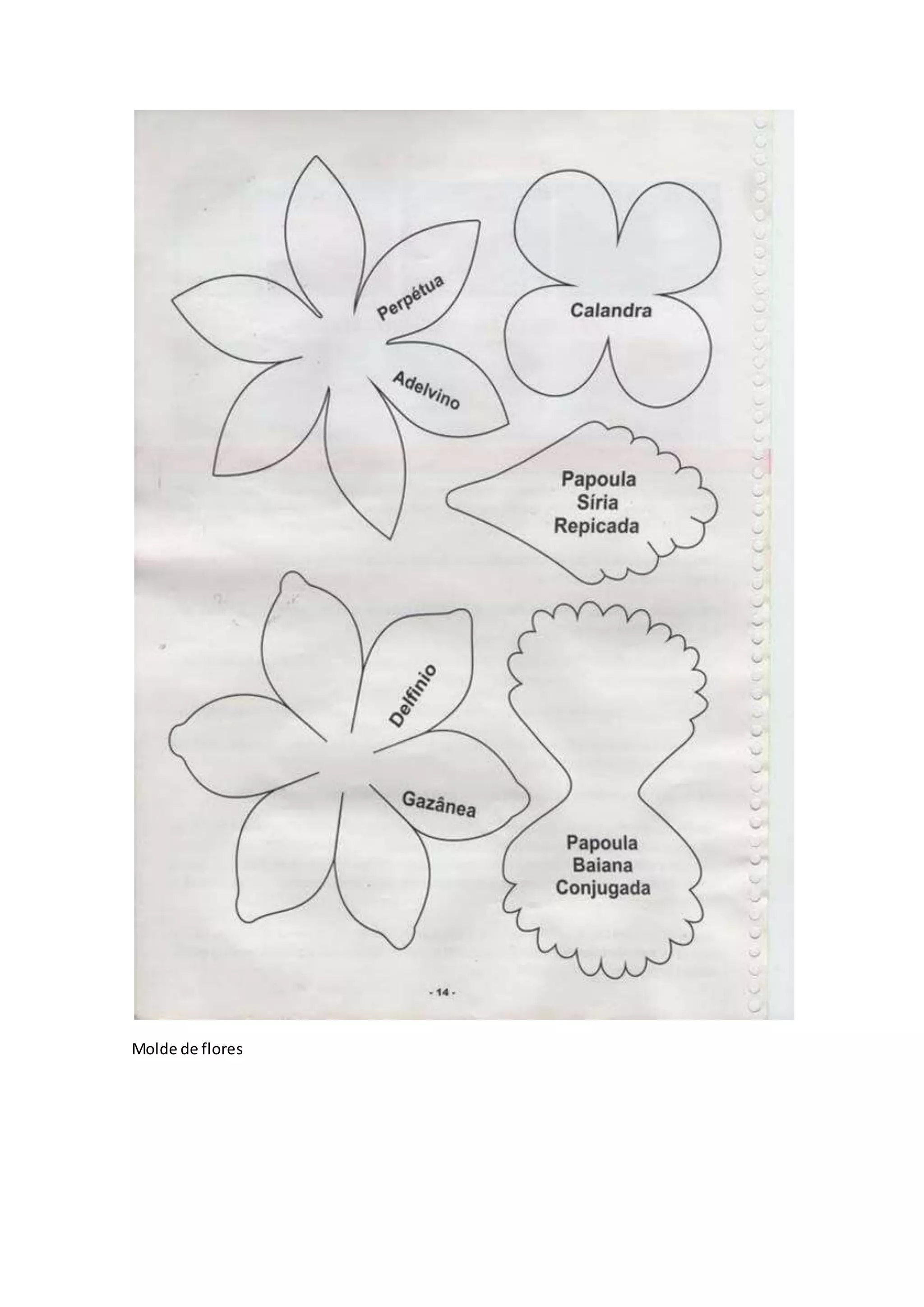 Técnicas de Frisado em EVA: Deixe Suas Flores Mais Realistas