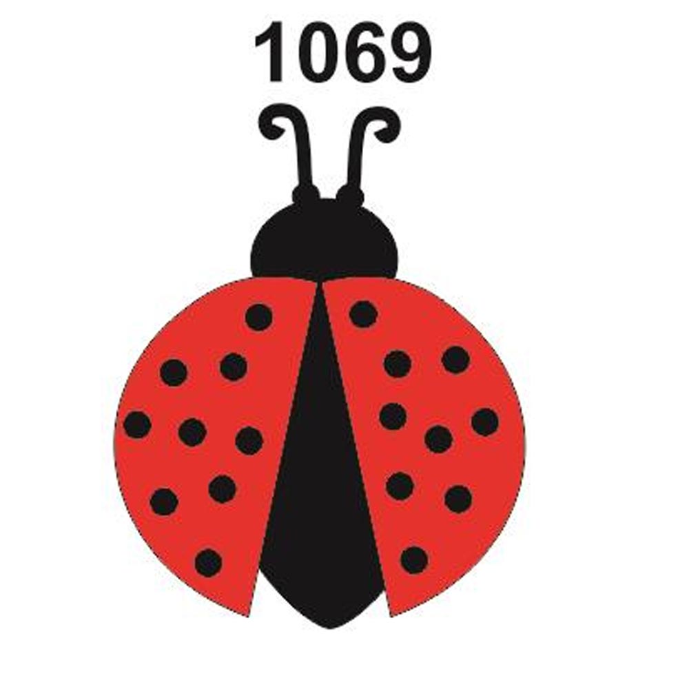 Guia Completo: Materiais Essenciais para Trabalhar com EVA e Criar Joaninhas Perfeitas