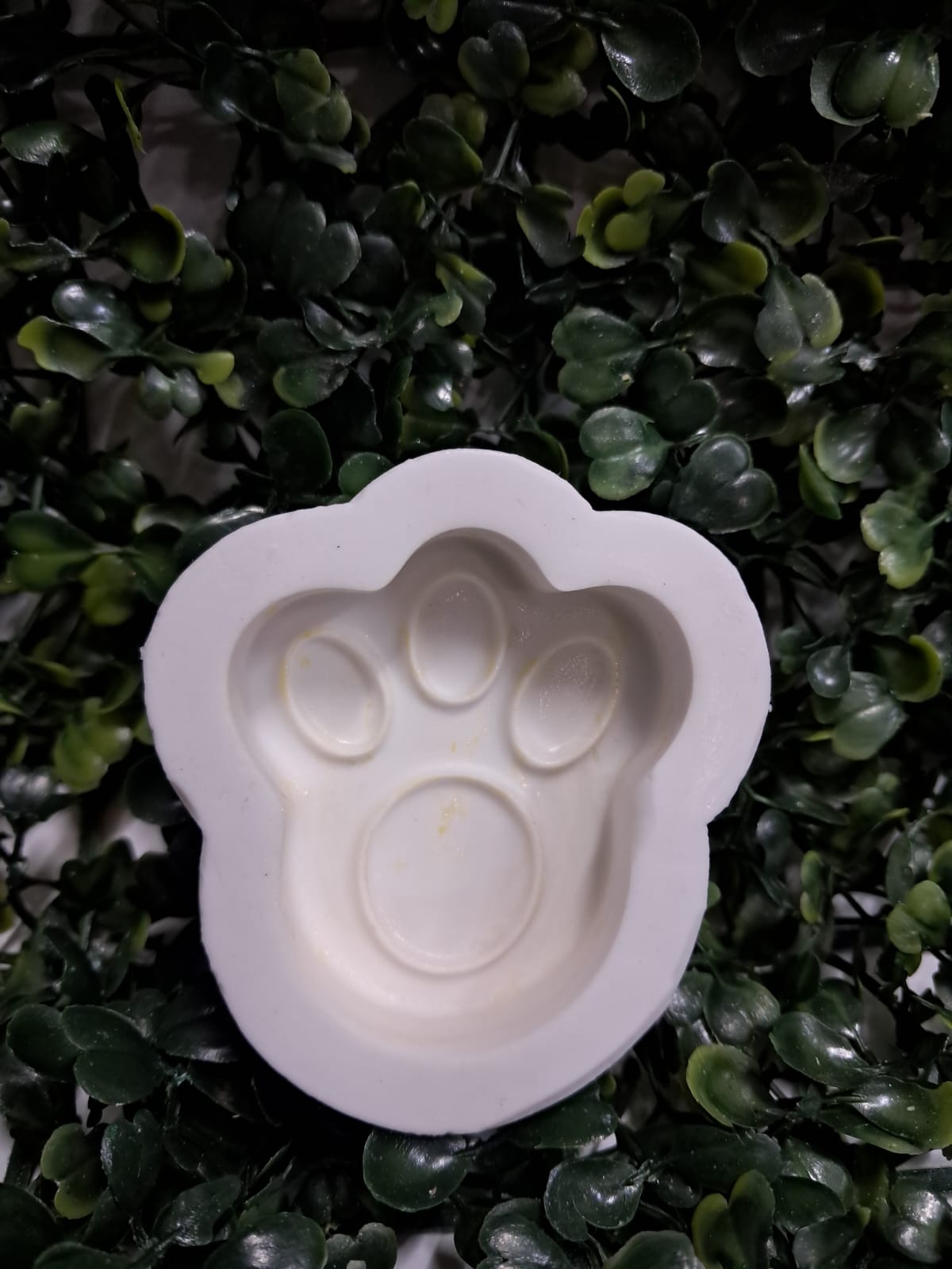 molde de pata de coelho para farinha