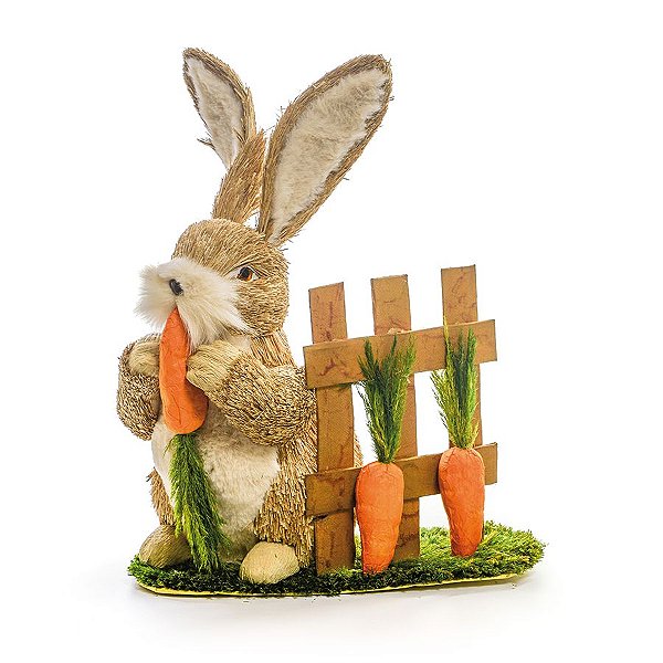 moldes de coelho com cenoura