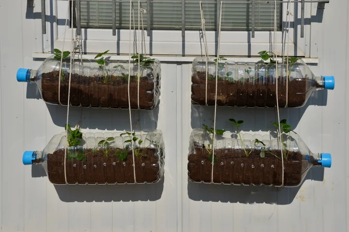 10 ideias criativas para plantar morango em garrafa pet