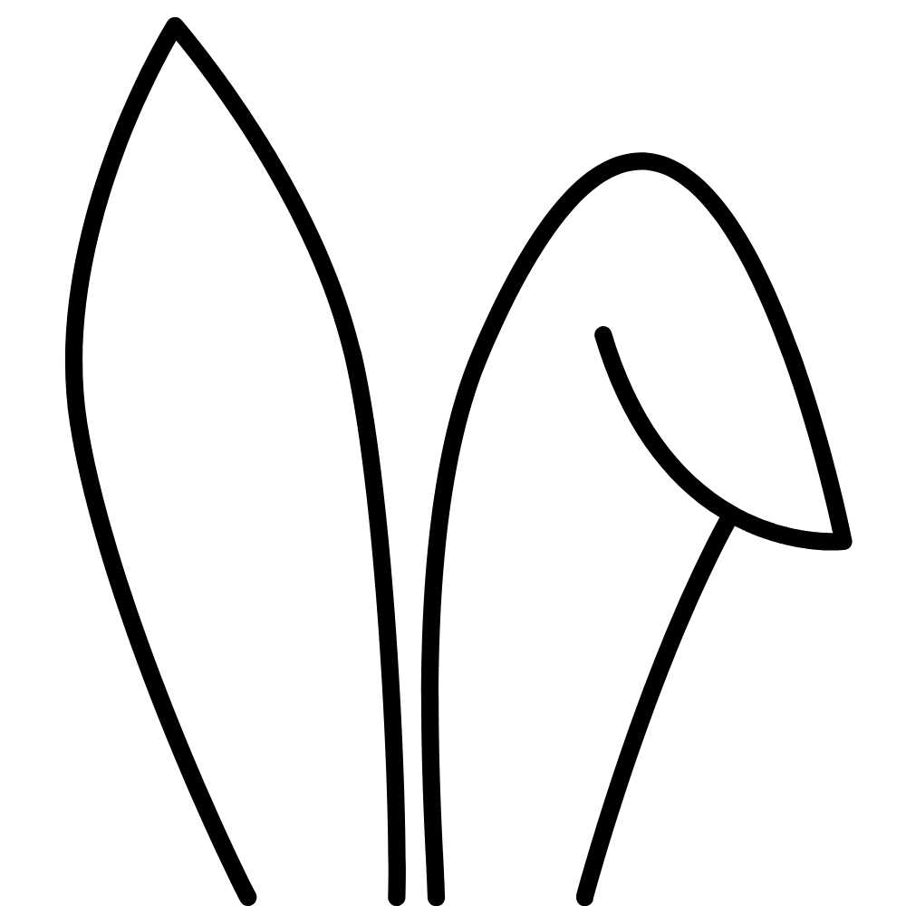 erros comuns ao usar molde orelha de coelho