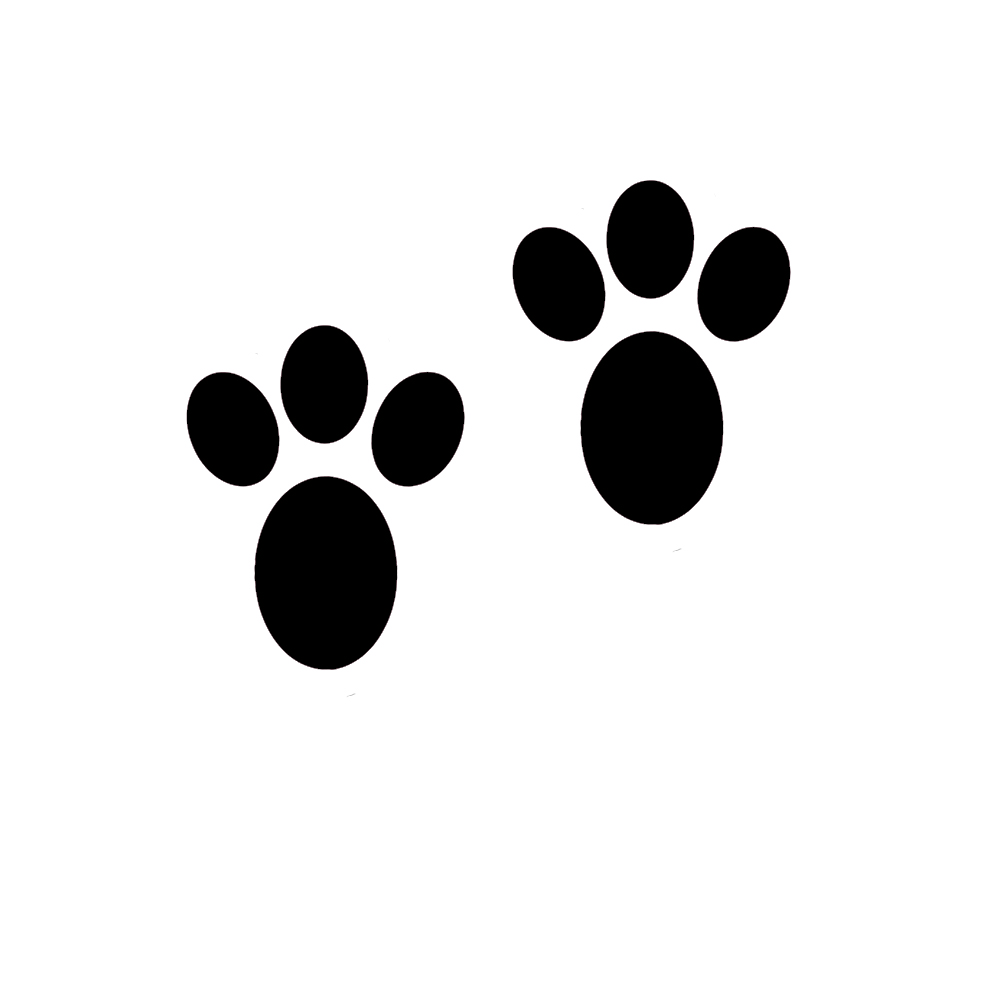 desenho pata de coelho para colorir