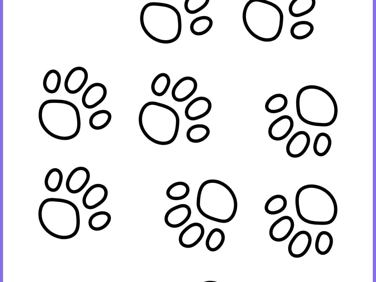 erros comuns ao imprimir patinhas de coelho