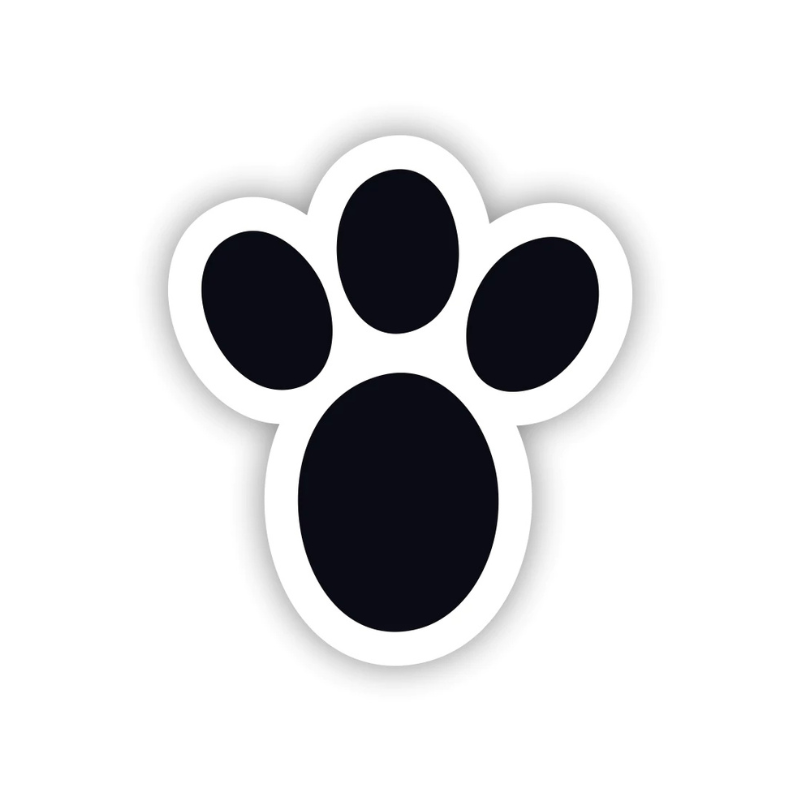 como fazer pegadas de coelho em casa