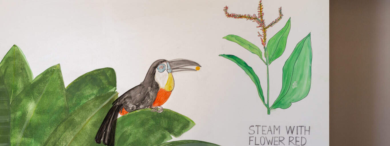 melhores desenhos para pintar online