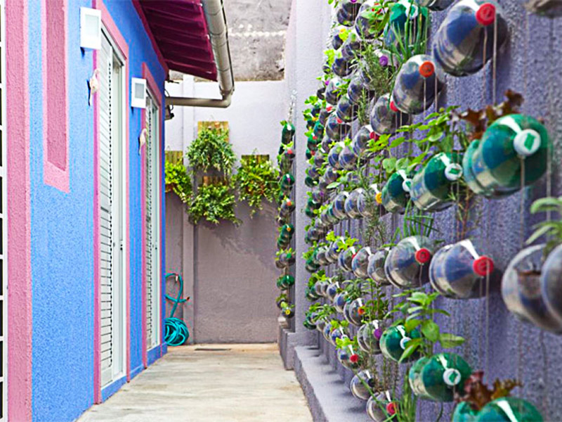 Transforme Garrafas PET em um Jardim Produtivo: Ideias Criativas