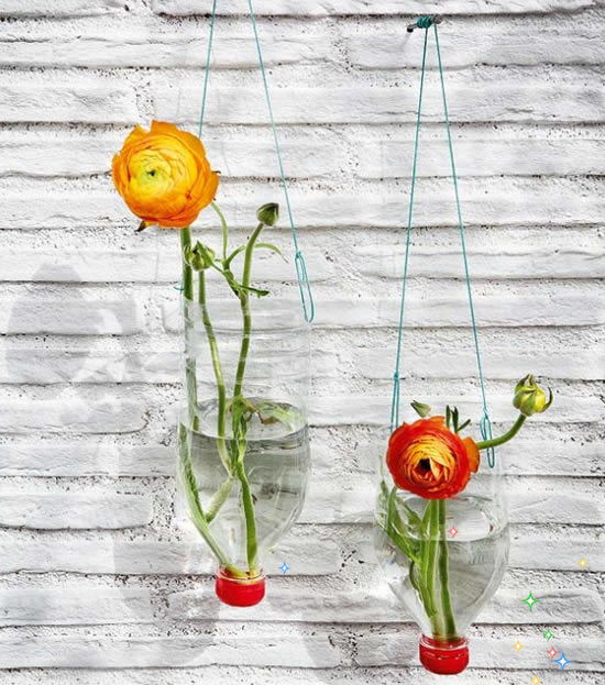 Dicas Essenciais para o Sucesso da Sua Horta em Garrafas PET