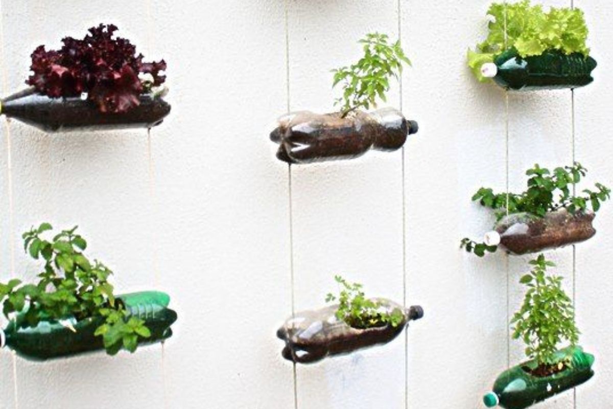 Guia Completo: Como Fazer Seu Vaso Autoirrigável com Garrafa PET