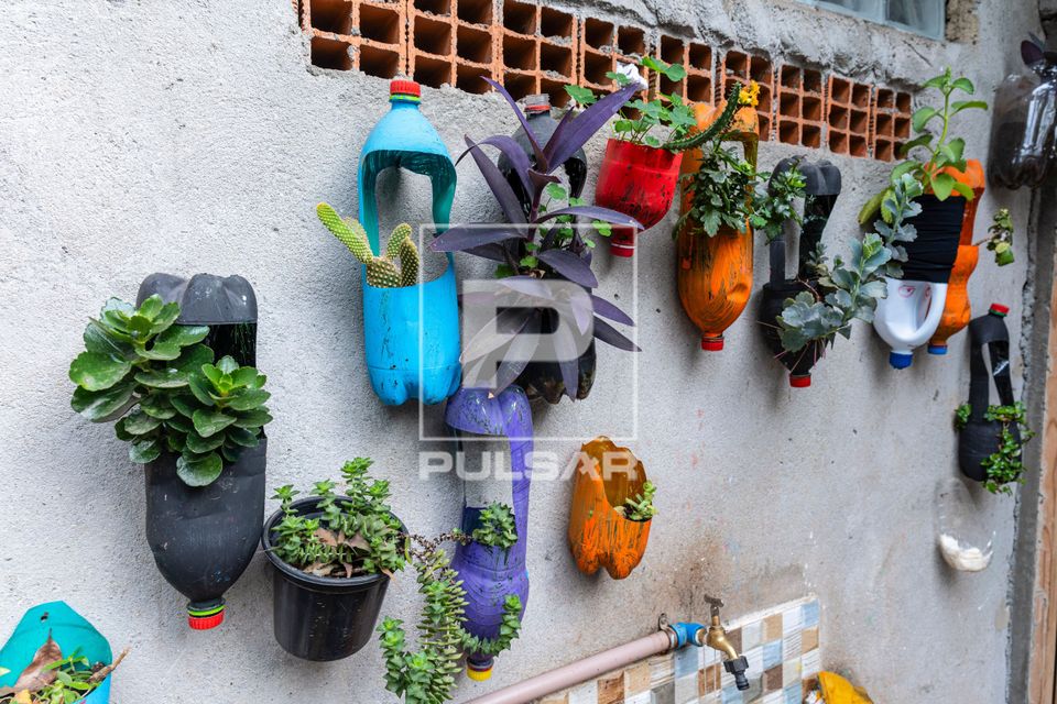 Transforme Garrafas PET em um Jardim Produtivo: Ideias Criativas