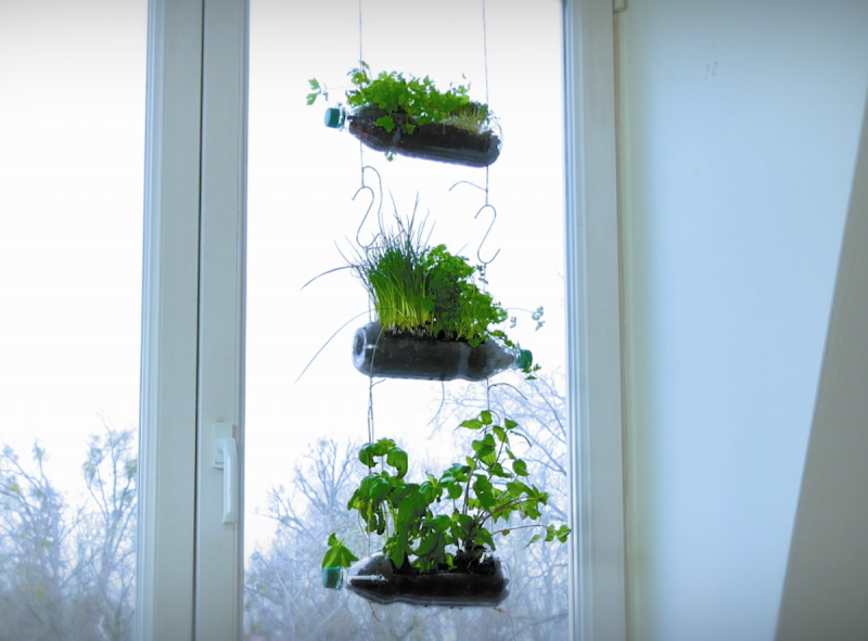 Horta Suspensa com Garrafas PET: Passo a Passo para Iniciantes