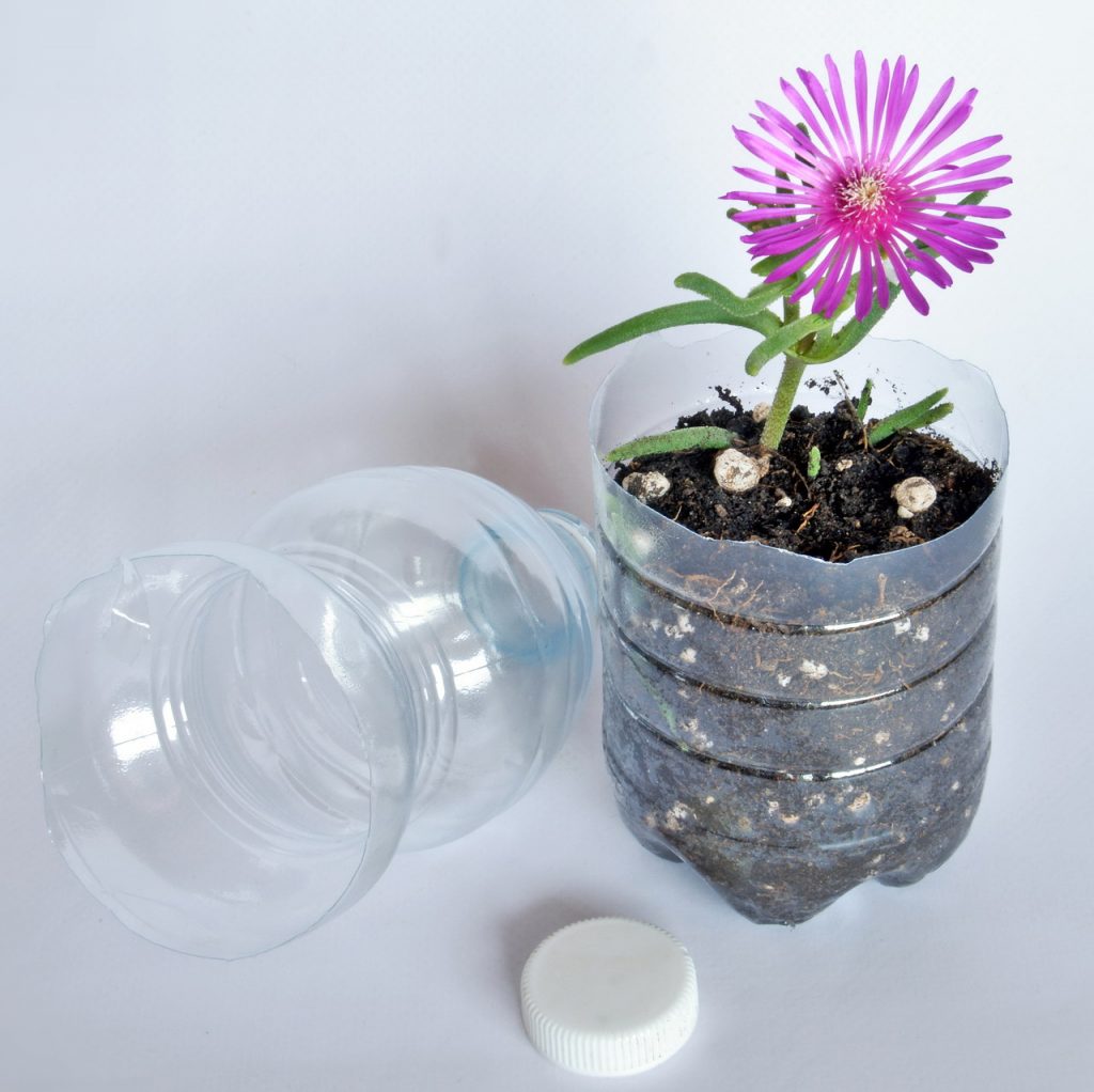 Transforme Garrafas PET em um Jardim Produtivo: Ideias Criativas